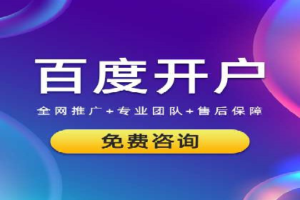 百度竞价广告投放策略：案例分析及优化建议